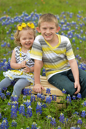 040315_Bluebonnets-1