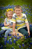 040315_Bluebonnets-2