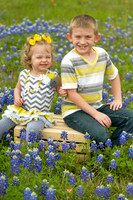 040315_Bluebonnets-3