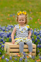 040315_Bluebonnets-4