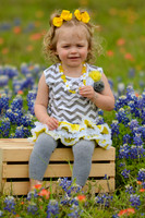 040315_Bluebonnets-7