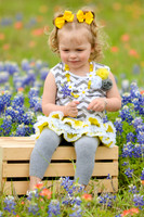 040315_Bluebonnets-9