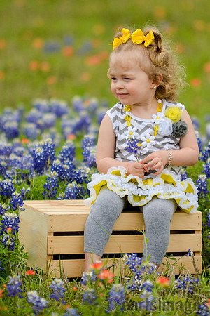 040315_Bluebonnets-10