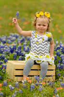 040315_Bluebonnets-11