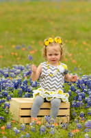 040315_Bluebonnets-12