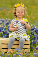 040315_Bluebonnets-13