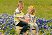 040315_Bluebonnets-14