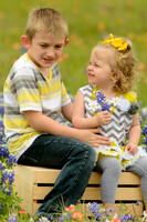 040315_Bluebonnets-15