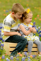 040315_Bluebonnets-16