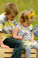 040315_Bluebonnets-18