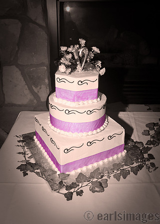 vickerswedding-93