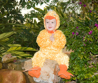 ethan_duck1008-19