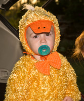 102808 A-Duck, A-Duck