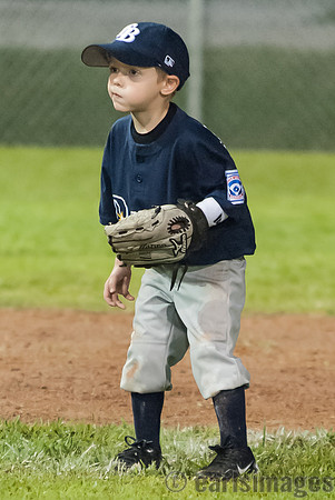 040212_rays_cards-28