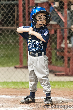 040212_rays_cards-32